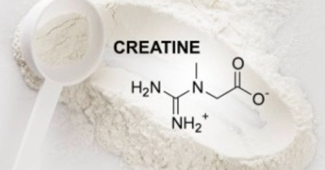 Creatine image