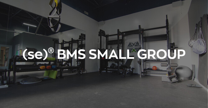 (se)® BMS Small Group