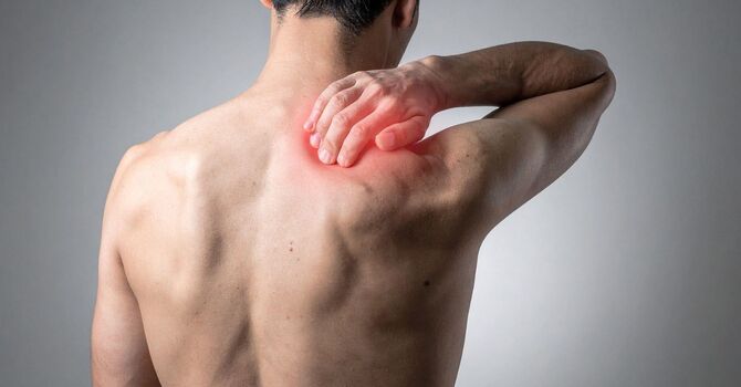Looking For A Muscle Pain Chiropractor? How Chiropractic Care Effectively Treats Muscle Pain image