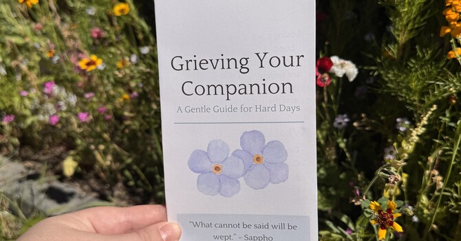 Grieving your Companion