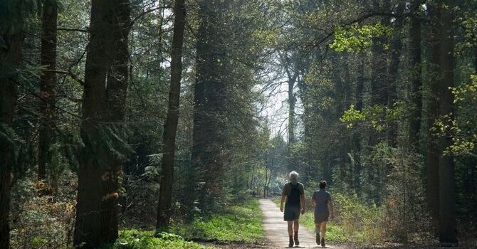 How Do You Know If You Need Counselling? 10 Signs It May Be Time to Talk to Someone