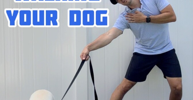 Pulled While Walking Your Dog? Here's What You May Have Injured image