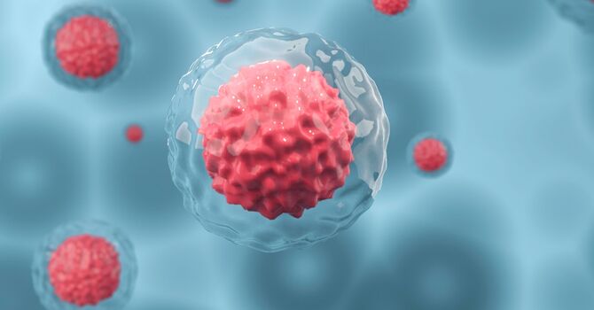Am I a Candidate for Autologous Stem Cell Therapy? image