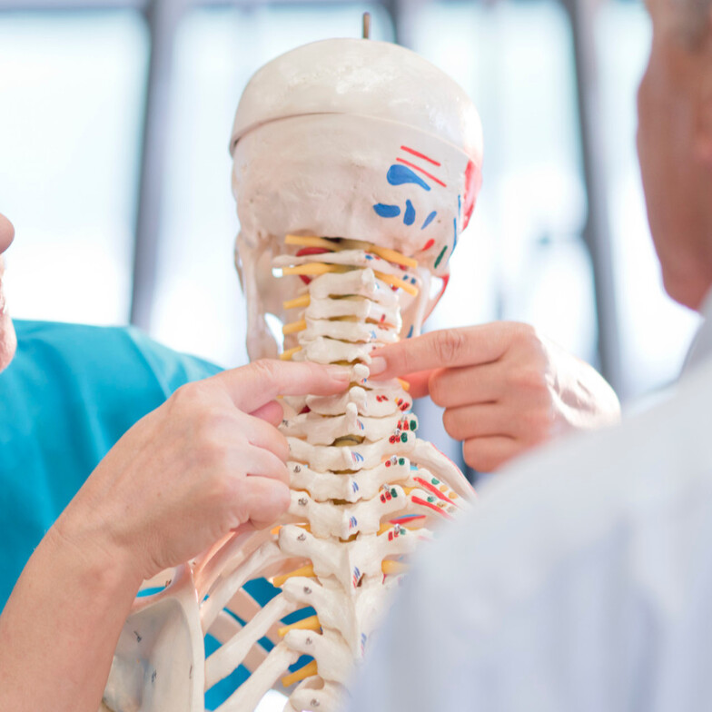 posture correction chiropractor Vacaville Advanced BioStructural Correction Vacaville treatment at White Oak Chiropractic