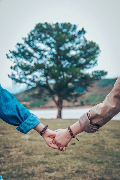 Link to: /pages/emotional-focused-couples-counselling