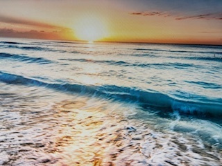 Embrace A New Beginning